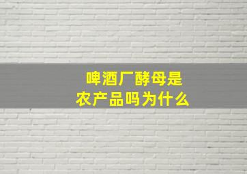 啤酒厂酵母是农产品吗为什么