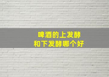 啤酒的上发酵和下发酵哪个好