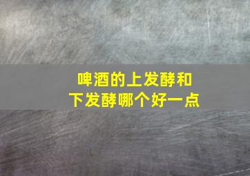 啤酒的上发酵和下发酵哪个好一点