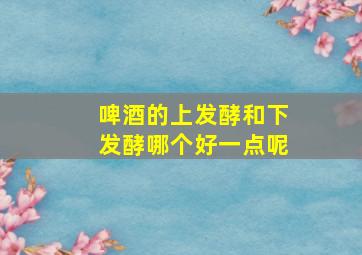 啤酒的上发酵和下发酵哪个好一点呢