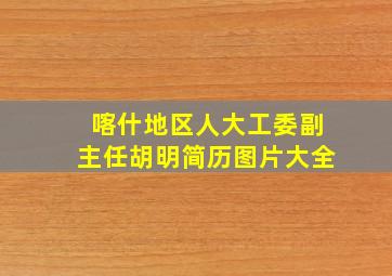 喀什地区人大工委副主任胡明简历图片大全