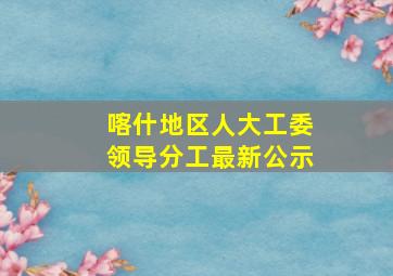 喀什地区人大工委领导分工最新公示