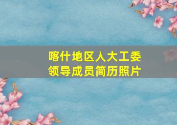 喀什地区人大工委领导成员简历照片