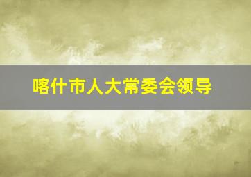 喀什市人大常委会领导