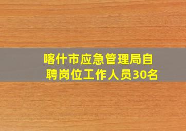 喀什市应急管理局自聘岗位工作人员30名