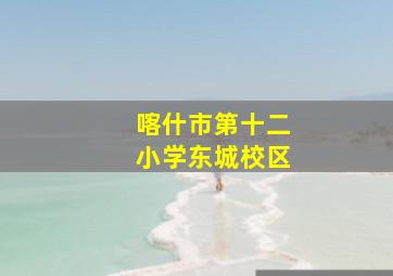 喀什市第十二小学东城校区