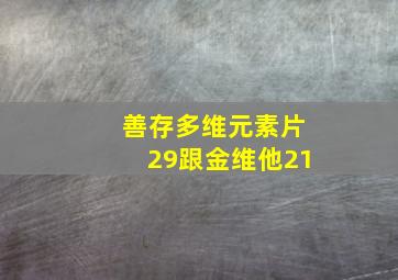 善存多维元素片29跟金维他21