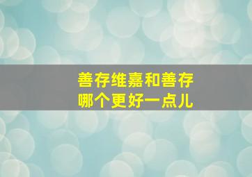 善存维嘉和善存哪个更好一点儿