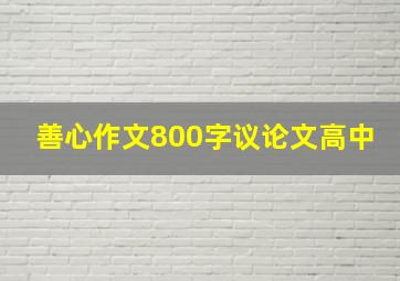 善心作文800字议论文高中