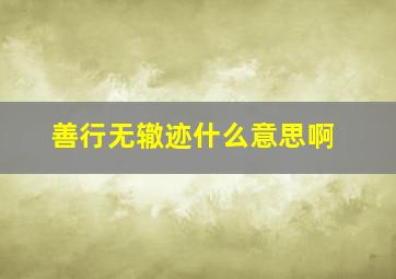 善行无辙迹什么意思啊