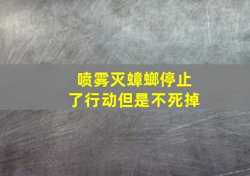 喷雾灭蟑螂停止了行动但是不死掉