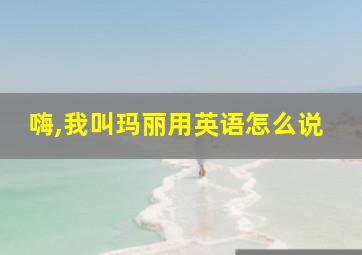 嗨,我叫玛丽用英语怎么说