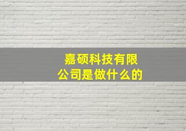 嘉硕科技有限公司是做什么的