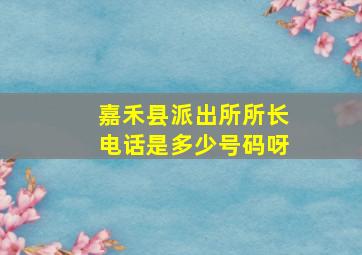 嘉禾县派出所所长电话是多少号码呀