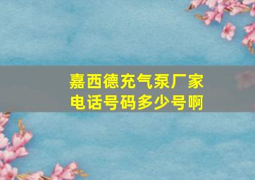 嘉西德充气泵厂家电话号码多少号啊