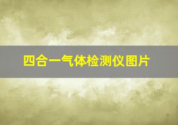 四合一气体检测仪图片