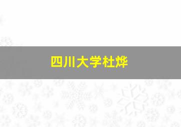 四川大学杜烨