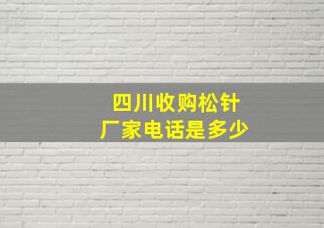 四川收购松针厂家电话是多少