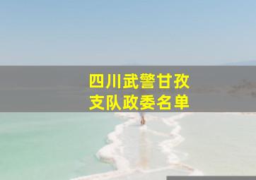 四川武警甘孜支队政委名单