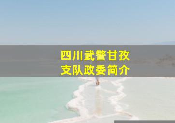 四川武警甘孜支队政委简介