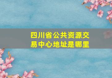 四川省公共资源交易中心地址是哪里