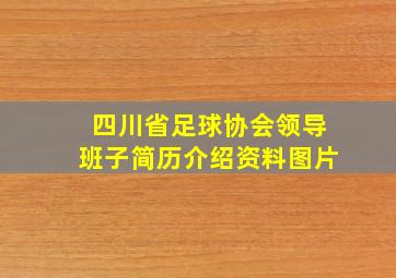 四川省足球协会领导班子简历介绍资料图片