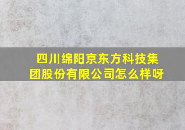 四川绵阳京东方科技集团股份有限公司怎么样呀