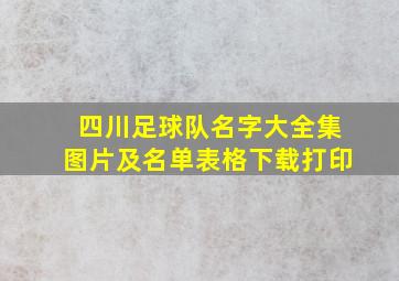 四川足球队名字大全集图片及名单表格下载打印