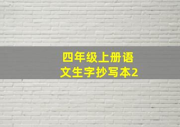 四年级上册语文生字抄写本2