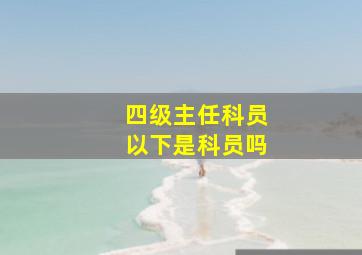 四级主任科员以下是科员吗