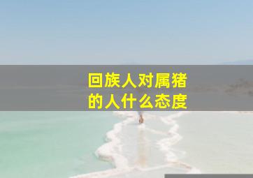 回族人对属猪的人什么态度