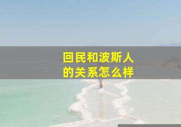 回民和波斯人的关系怎么样