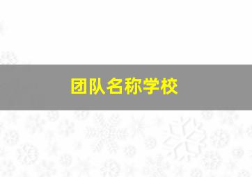 团队名称学校