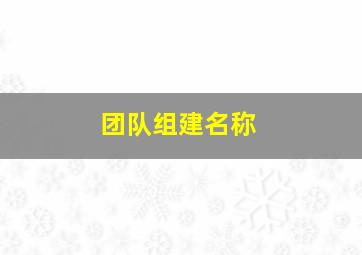 团队组建名称