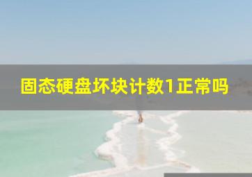 固态硬盘坏块计数1正常吗