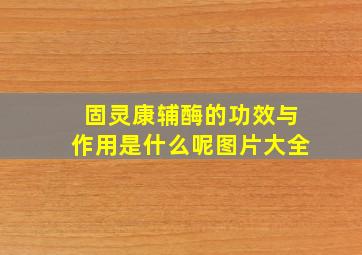 固灵康辅酶的功效与作用是什么呢图片大全