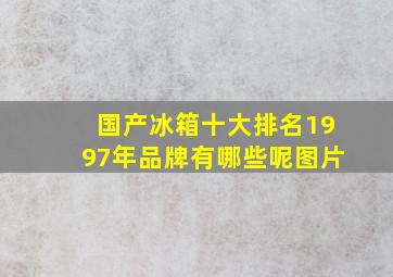 国产冰箱十大排名1997年品牌有哪些呢图片