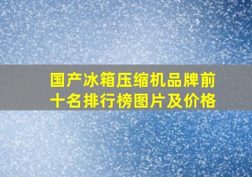 国产冰箱压缩机品牌前十名排行榜图片及价格