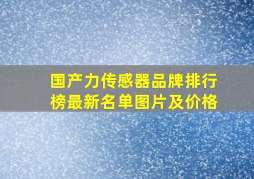 国产力传感器品牌排行榜最新名单图片及价格