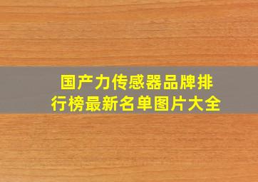 国产力传感器品牌排行榜最新名单图片大全