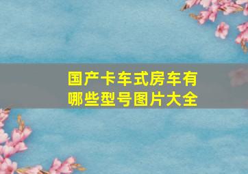 国产卡车式房车有哪些型号图片大全