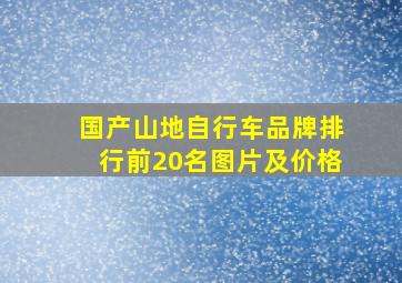 国产山地自行车品牌排行前20名图片及价格