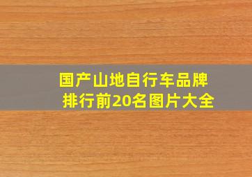 国产山地自行车品牌排行前20名图片大全