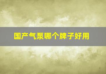 国产气泵哪个牌子好用