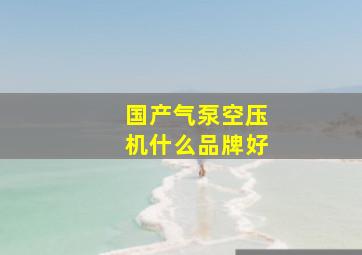 国产气泵空压机什么品牌好