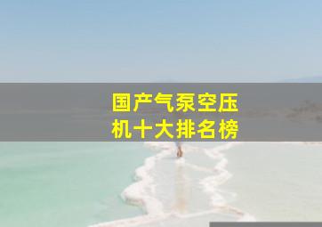 国产气泵空压机十大排名榜