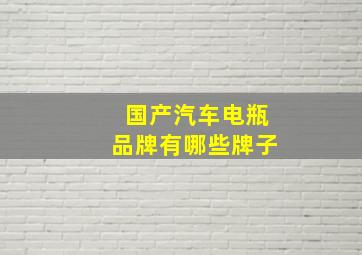 国产汽车电瓶品牌有哪些牌子