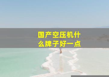 国产空压机什么牌子好一点