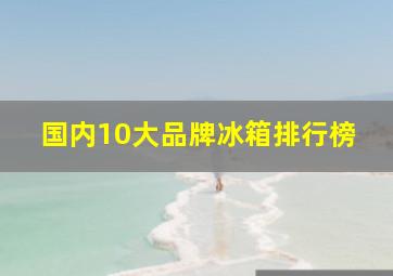 国内10大品牌冰箱排行榜