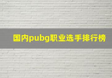 国内pubg职业选手排行榜